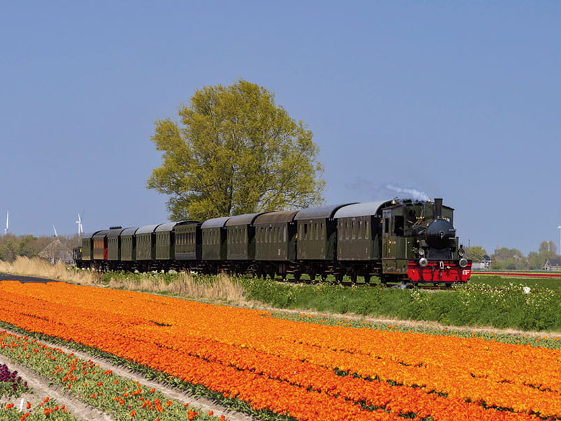 Dutch Heritage Steam Train in the Netherlands